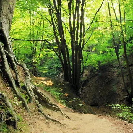 - Na Kuracyjnej By Downtown *