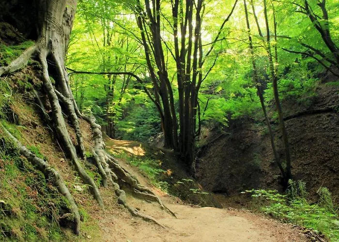 - Na Kuracyjnej By Downtown *